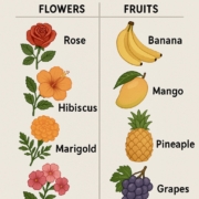 Greenhouse of Sai Villa